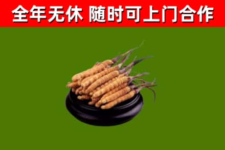 延边市回收冬虫夏草
